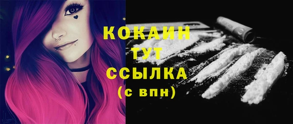2c-b Богородицк