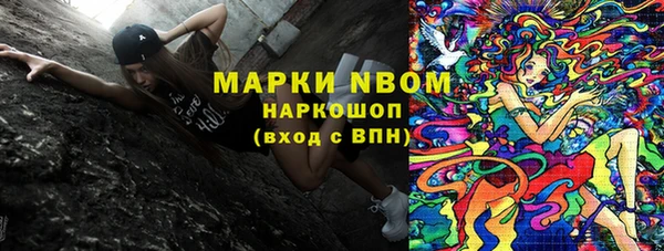 PSILOCYBIN Богданович