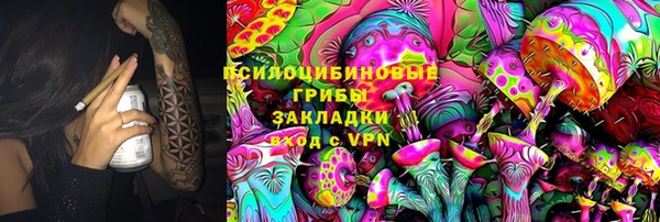 spice Бородино