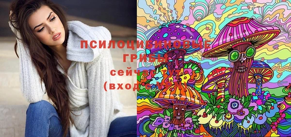2c-b Богородицк